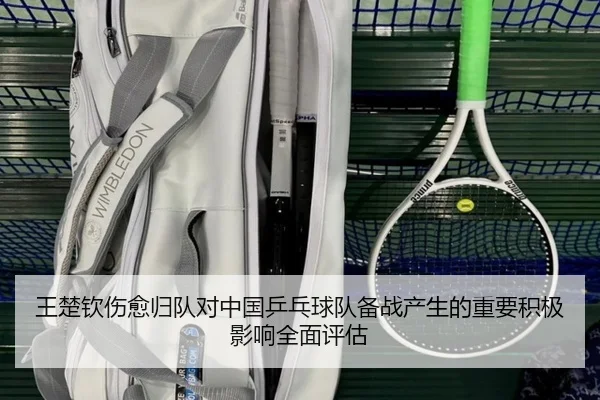 王楚钦伤愈归队对中国乒乓球队备战产生的重要积极影响全面评估